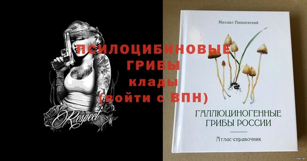 spice Чегем