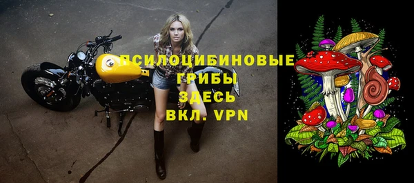 мяу мяу мука Вяземский