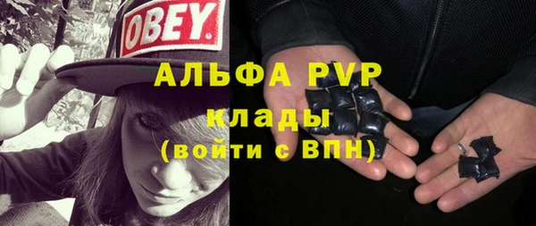 эйфоретик Чекалин