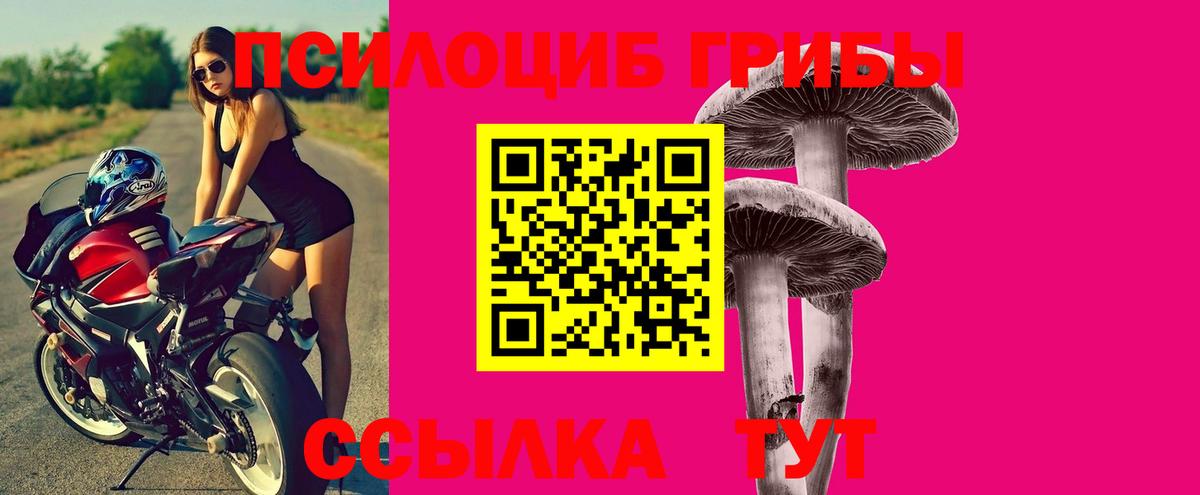 Галлюциногенные грибы ЛСД Мценск